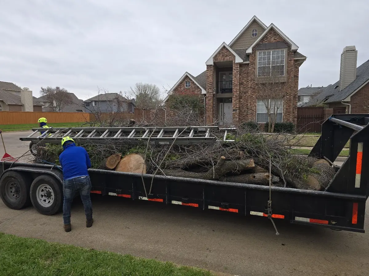Expert Tree Removal with proper safety equipment in Fruitland